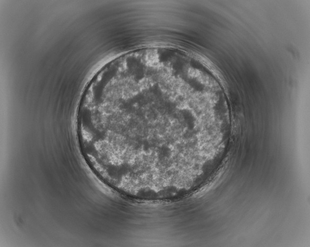 X0000112030803200909141055