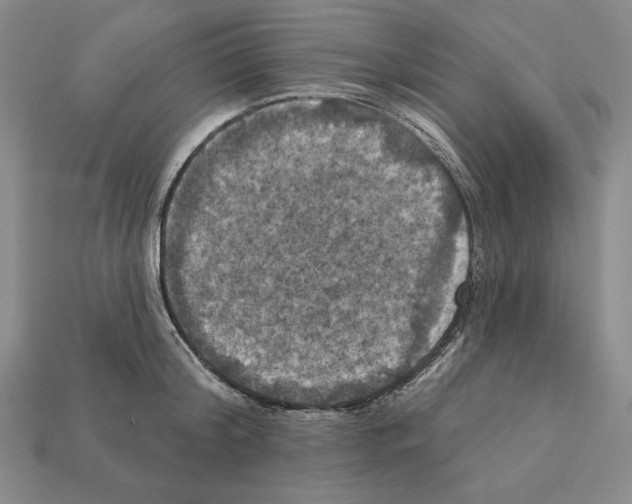 X0000112030804200909141055