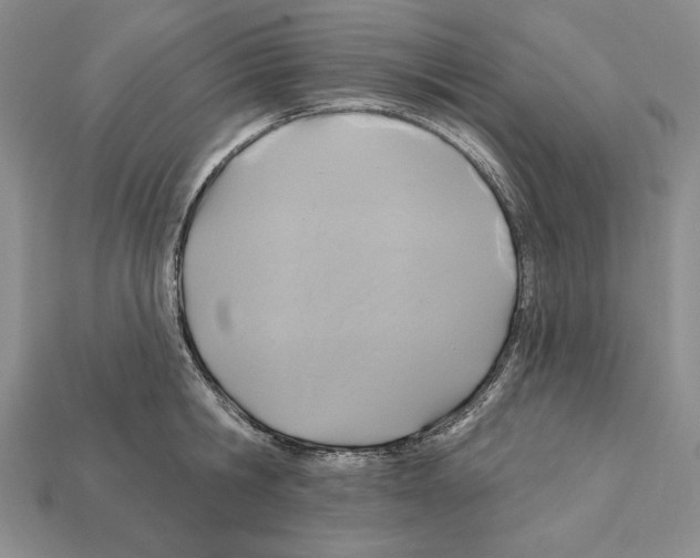 X0000112030806200909141055