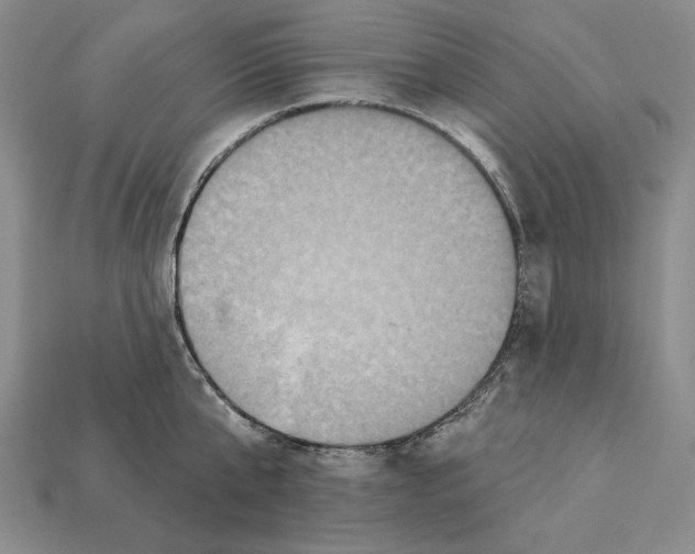 X0000112030807200909141055