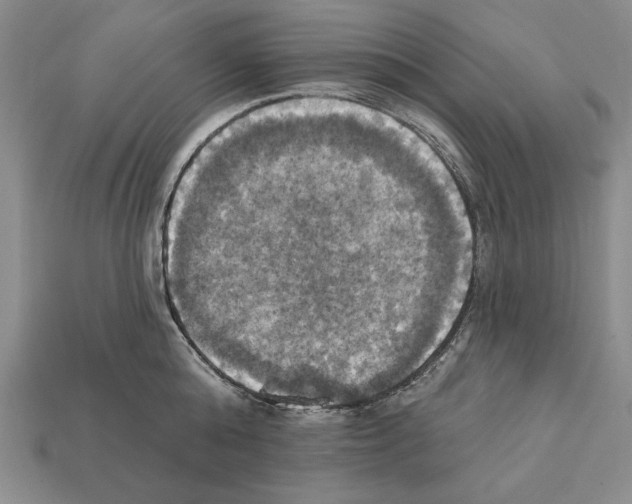 X0000112030808200909141055