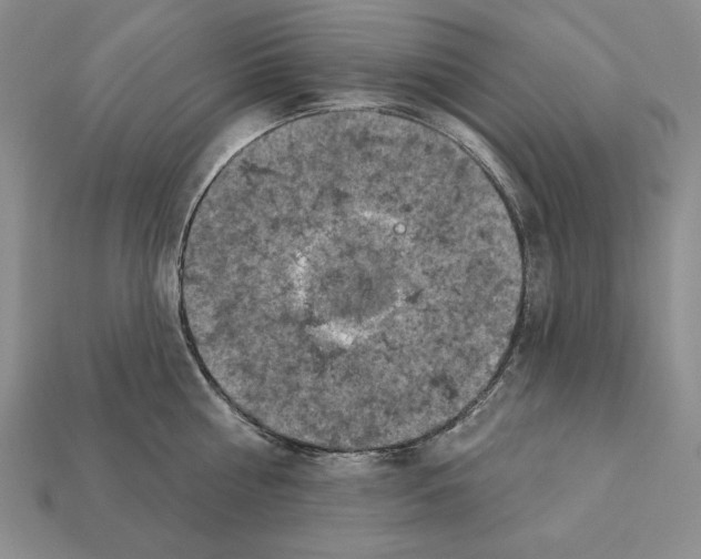 X0000112030810200909141055