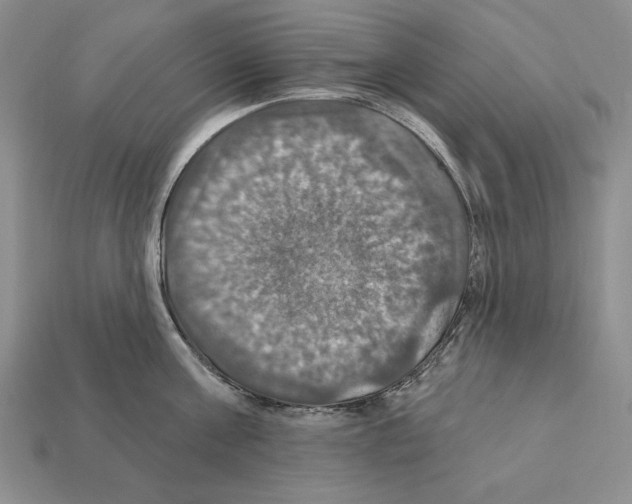 X0000112030811200909141055