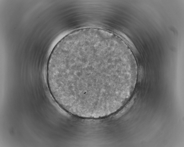 X0000112030812200909141055