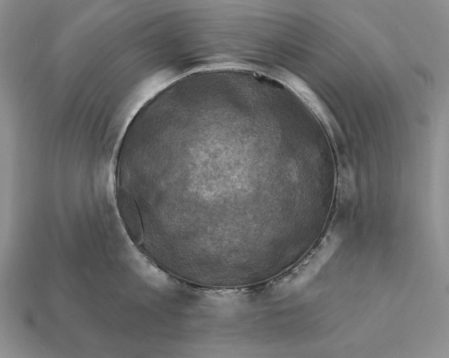 X0000112030813200909141055