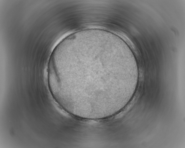 X0000112030814200909141055