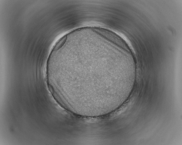 X0000112030815200909141055