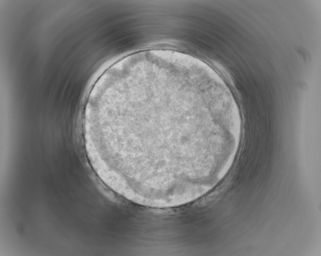 X0000112030816200909141055