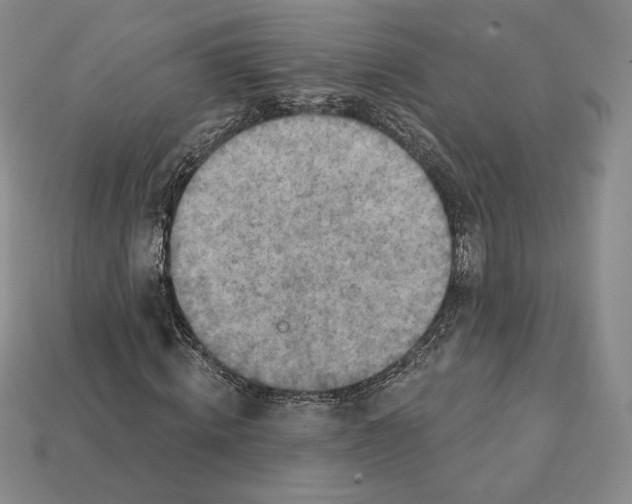 X0000112030820200909141054