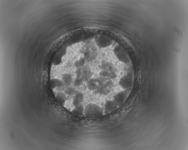 X0000112030821200909141054