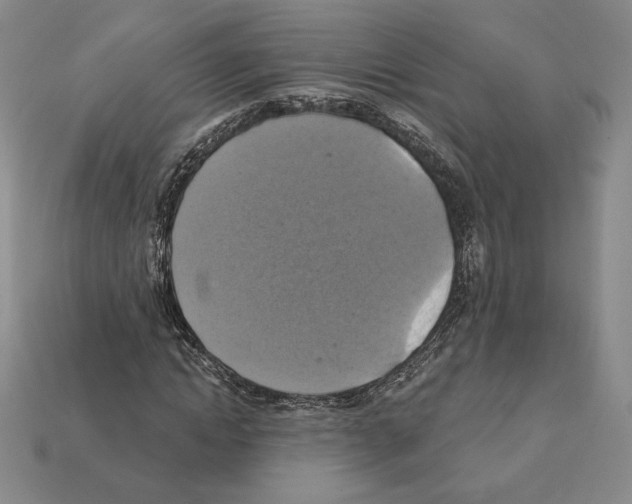 X0000112030822200909141054