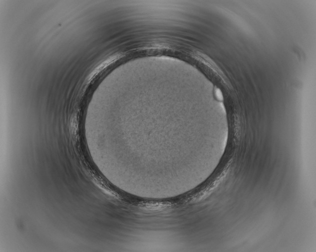 X0000112030826200909141054