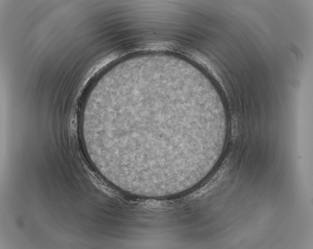 X0000112030827200909141054