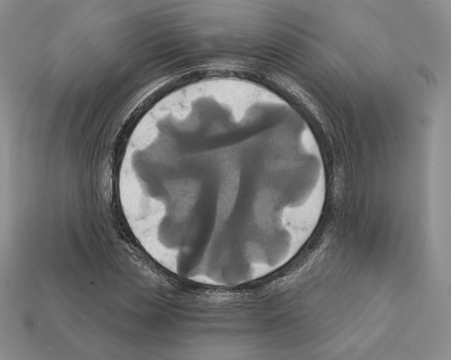 X0000112030829200909141054