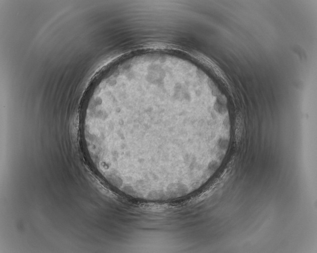 X0000112030831200909141054