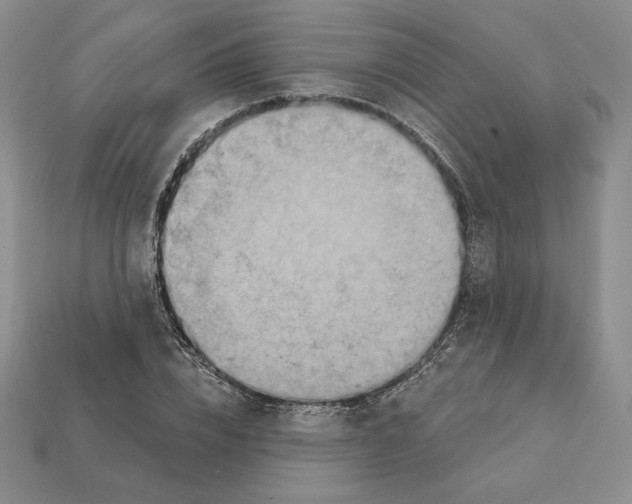 X0000112030832200909141054
