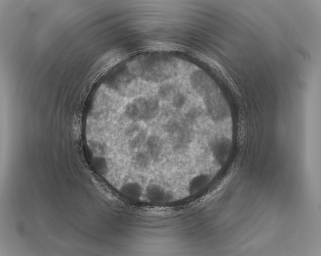 X0000112030833200909141054
