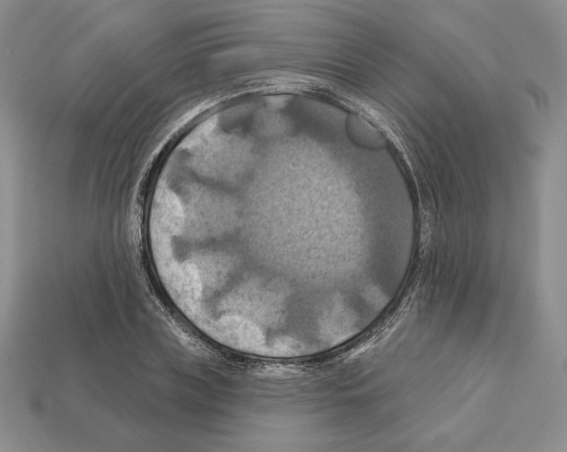 X0000112030835200909141054