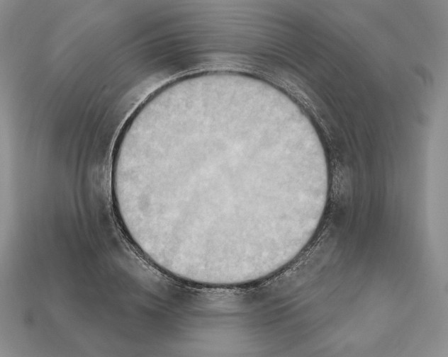 X0000112030836200909141054
