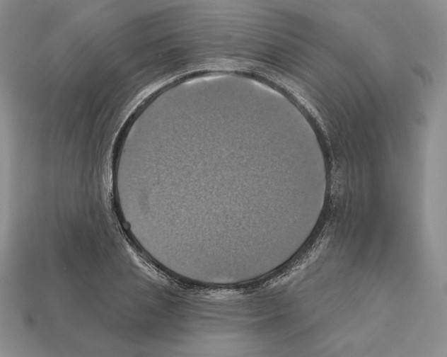 X0000112030837200909141054