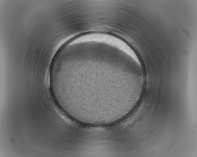 X0000112030838200909141054