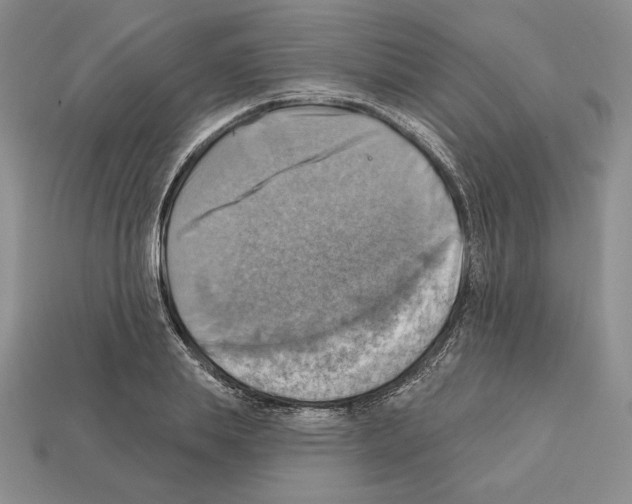 X0000112030839200909141055
