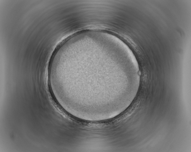 X0000112030840200909141055