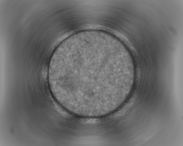 X0000112030841200909141055