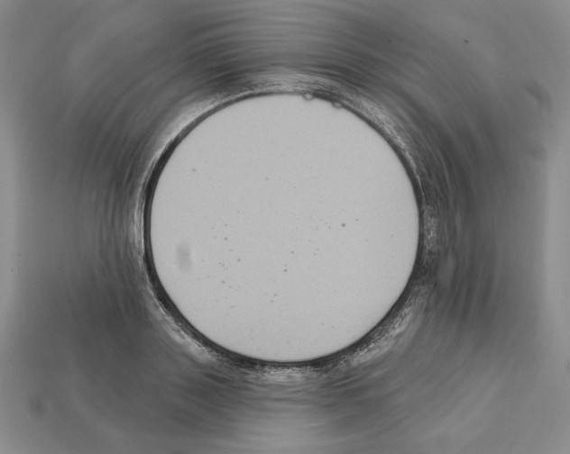 X0000112030843200909141055
