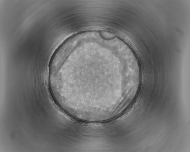 X0000112030844200909141055