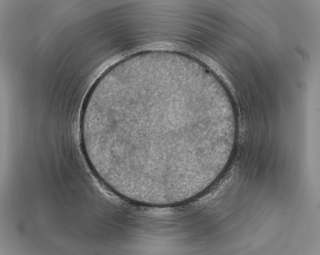 X0000112030845200909141055