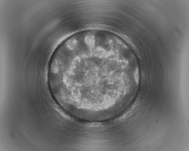 X0000112030846200909141055