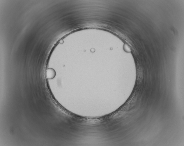 X0000112030848200909141055
