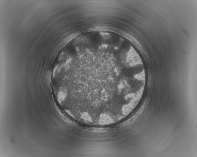 X0000112030849200909141055
