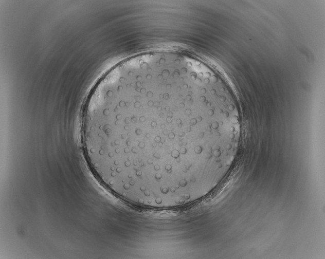 X0000112030851200909141055