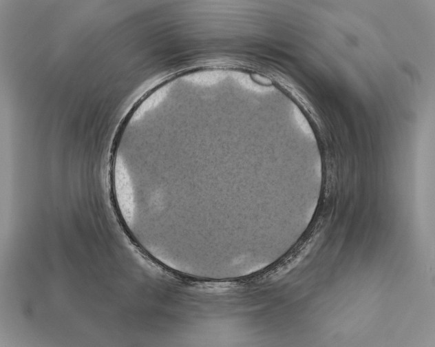 X0000112030853200909141055