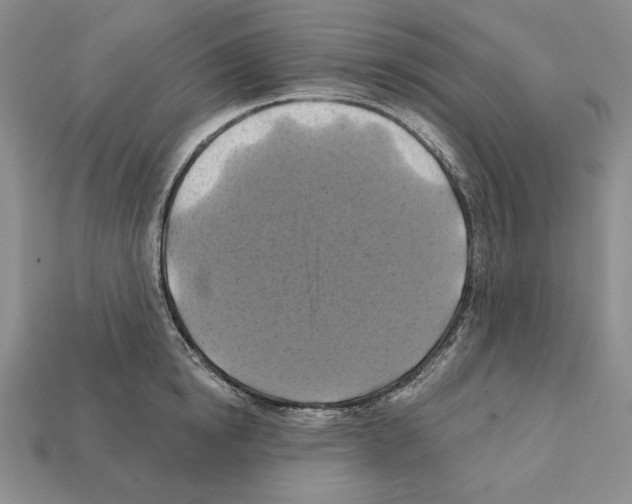 X0000112030854200909141055