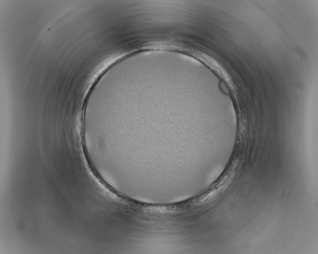 X0000112030855200909141055