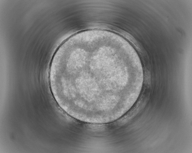 X0000112030856200909141055