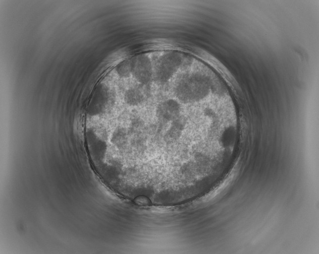 X0000112030857200909141055