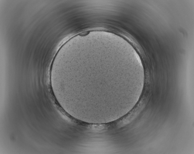 X0000112030858200909141055