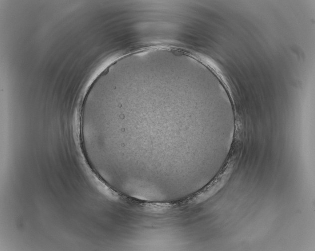 X0000112030859200909141055