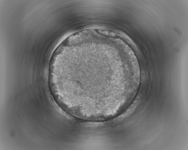 X0000112030860200909141055