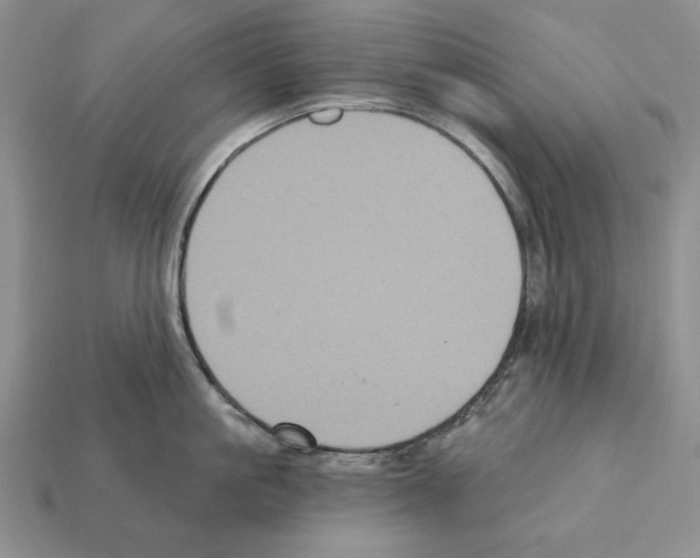 X0000112030861200909141055