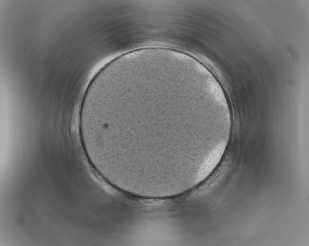 X0000112030862200909141055