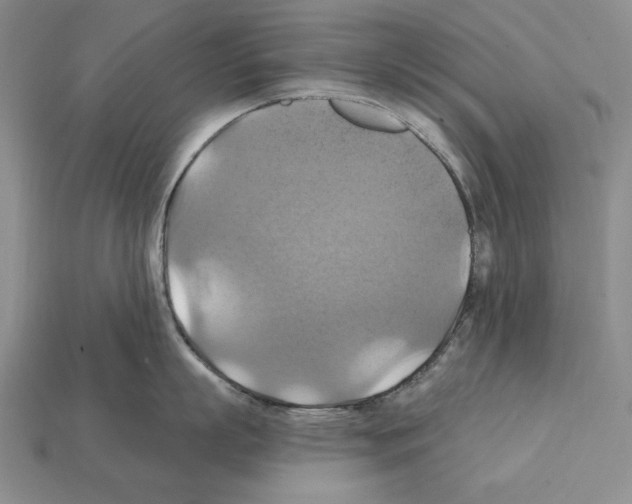 X0000112030863200909141055