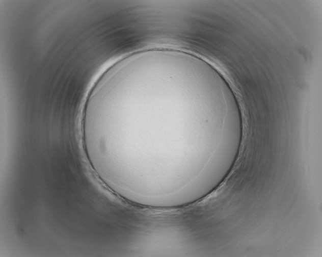 X0000112030864200909141055
