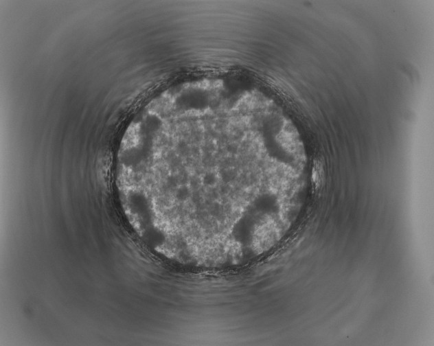 X0000112030867200909141054