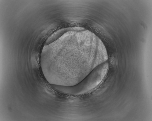 X0000112030868200909141054