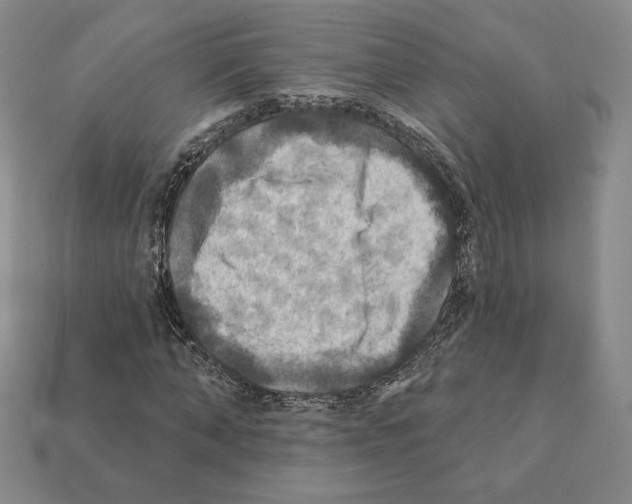 X0000112030870200909141054